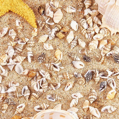 50x tiny mini sea - 50x,