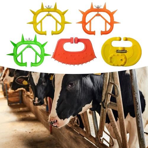 Cattle nose ring - cattle,