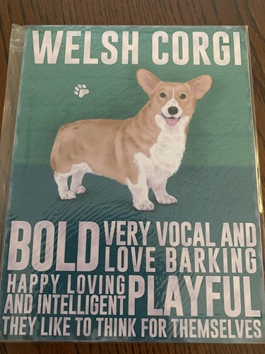 Welsh corgi 7 - welsh, 10