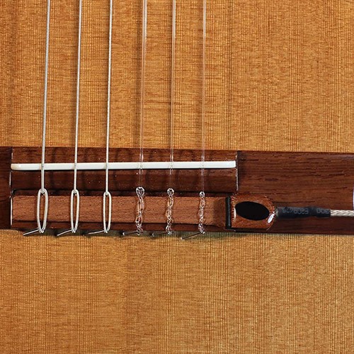 Classical guitar pickup - classical,
