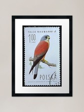 Falcon Bird Vintage Postage