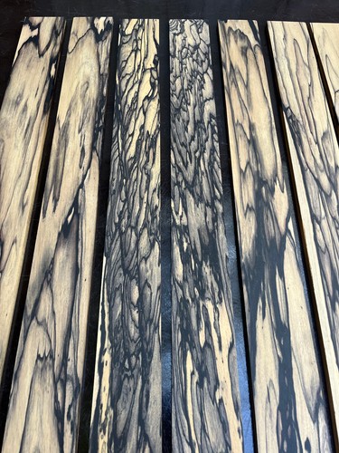 Pale moon ebony string bass - pale,