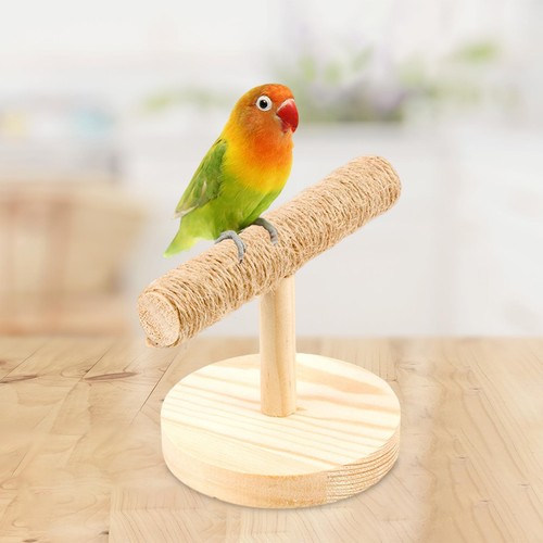 Tabletop bird play stand - play, solid