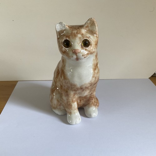 Sitting winstanley ginger - ginger, cat