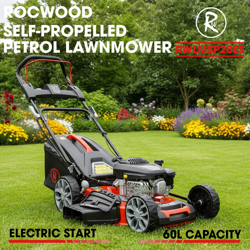 Petrol lawnmower electric - petrol,