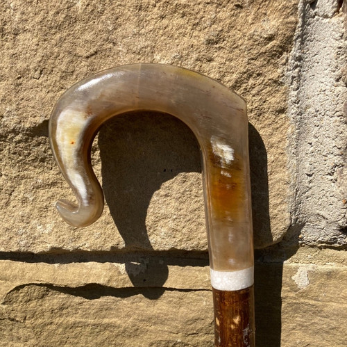 Cow horn ply crook - crook, on
