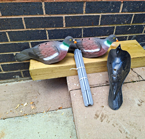 Half bodied pigeon decoy - half,