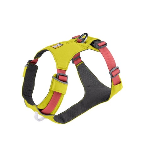 Lightweight dog harness - dog,