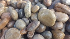 Scottish Cobbles 60-100mm Premium Natural Stone 20kg