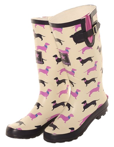 Ladies sausage dog - sausage,