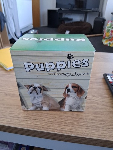 Country artists boxer puppy - artists,