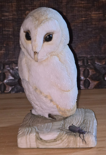 Teviotdale scotland owl - teviotdale,