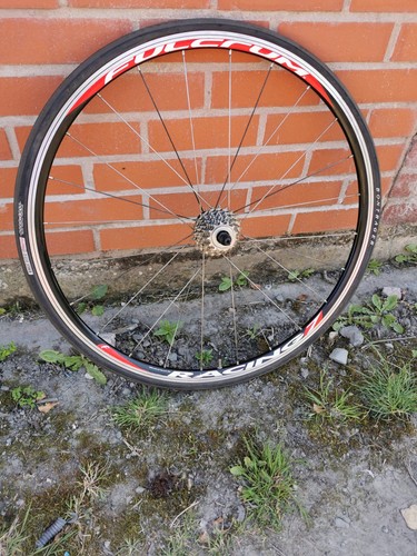 Fulcrum racing rear wheel - rear,