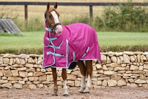 Lightweight turnout rug - lightweight,