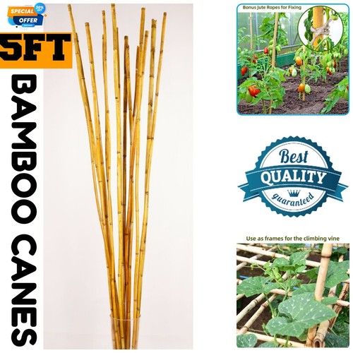 5ft bamboo garden - large, thick
