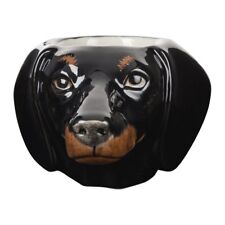 Quail Ceramics   Face Egg Cup   Dachshund   Black & Tan