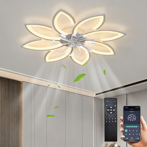 Low profile ceiling fan light - profile,