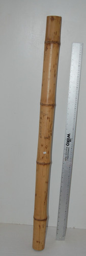 Bamboo poles reptiles - reptiles,, craft