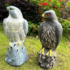 41CM Large Falcon Pest