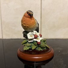 Border Fine Arts ROBIN A0408 By Russell Willis