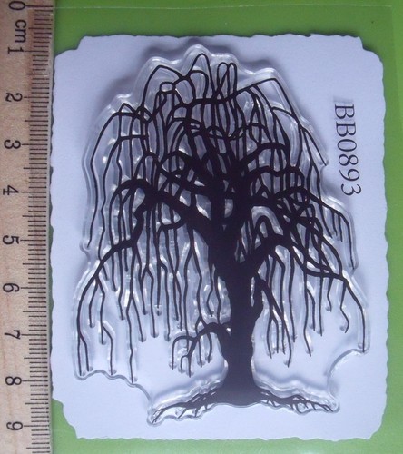 Medium weeping willow tree - weeping,