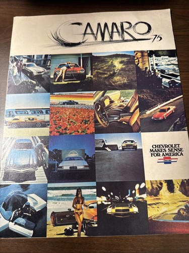 1975 chevrolet camaro dealer - 1975,