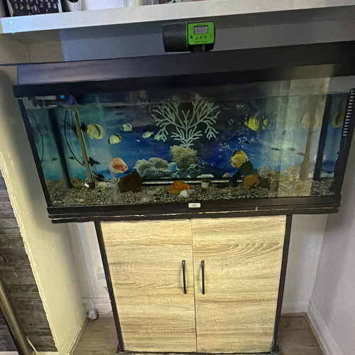 Glass 200l freshwater - 200l,
