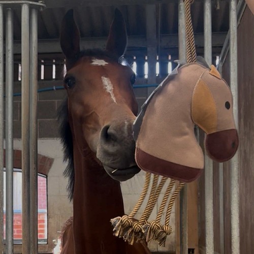 Ruggles horse stable toy - ruggles, |