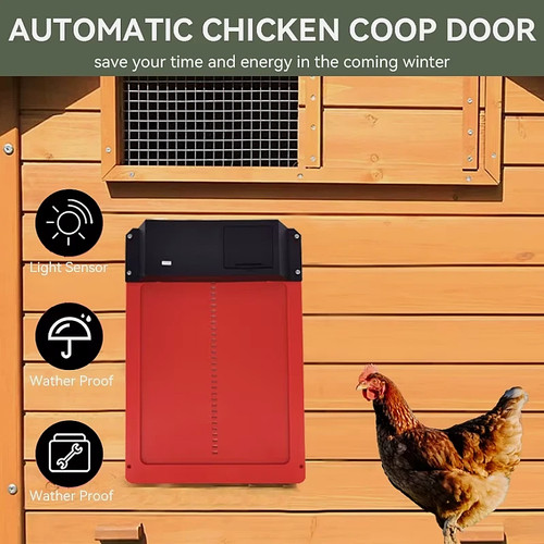 Automatic chicken coop - chicken,