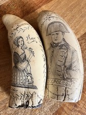 Scrimshaw Whale Tooth