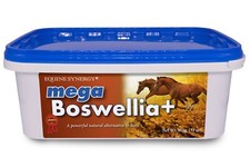 Equine Synergy MEGA BOSWELLIA