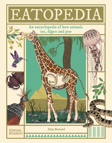 Eatopedia aina bestard animals - bestard,