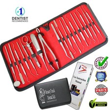 PRO DENTAL MOUTH INSPECTION