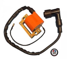 Ignition Coil With Spark Plug