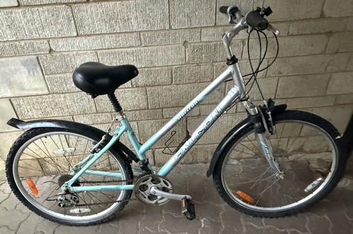 Vintage ladies blue falcon - vintage,