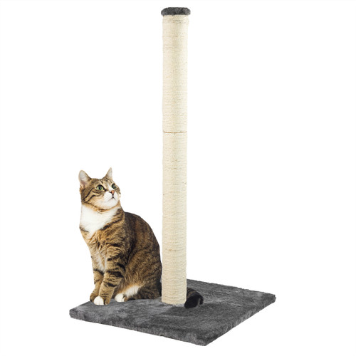 Kct large cat scratching grey - kct,