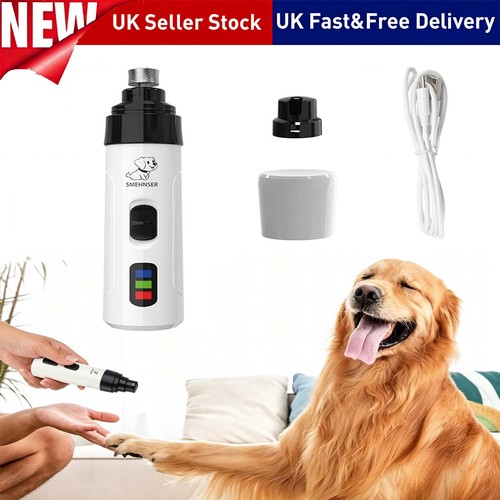 Pet cat dog - cat,