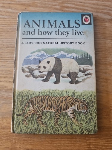 Ladybird animals and how they - ladybird,