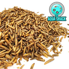 Freeze Dried Fish Food -
