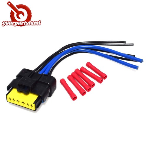 Window motor module wiring - motor,