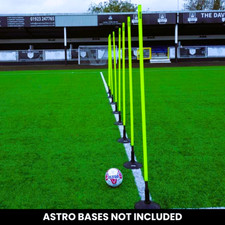 ZEEGO Spring Loaded Slalom