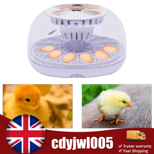 Digital eggs incubator - 12,