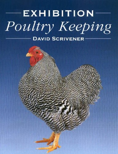 Exhibition poultry - exhibition,