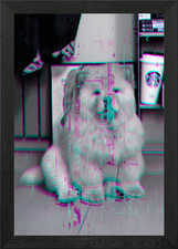 Chow Chow Dog Framed Wall Art