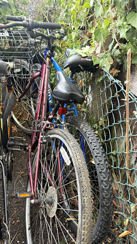 Giant cruiser bike - giant,
