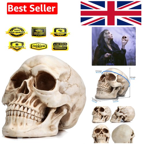 Life size realistic - life,