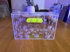 Extra Large Acrylic Fish