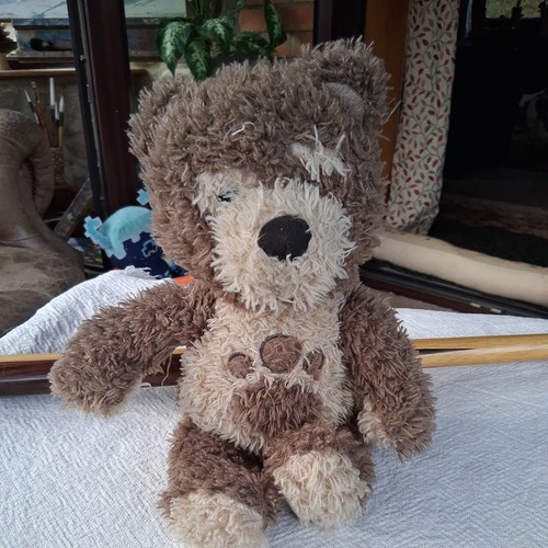 Little charley bear shaggy - little,