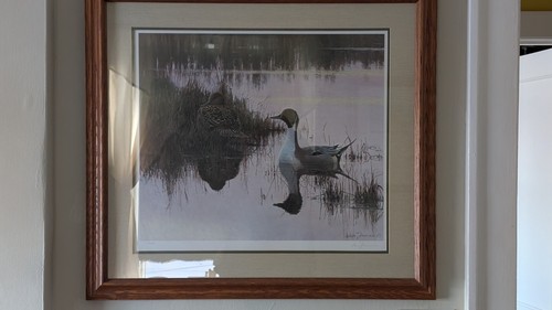 Framed limited edition - limited,
