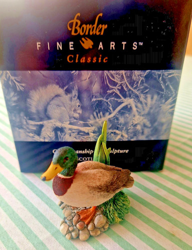 Border fine arts - fine,